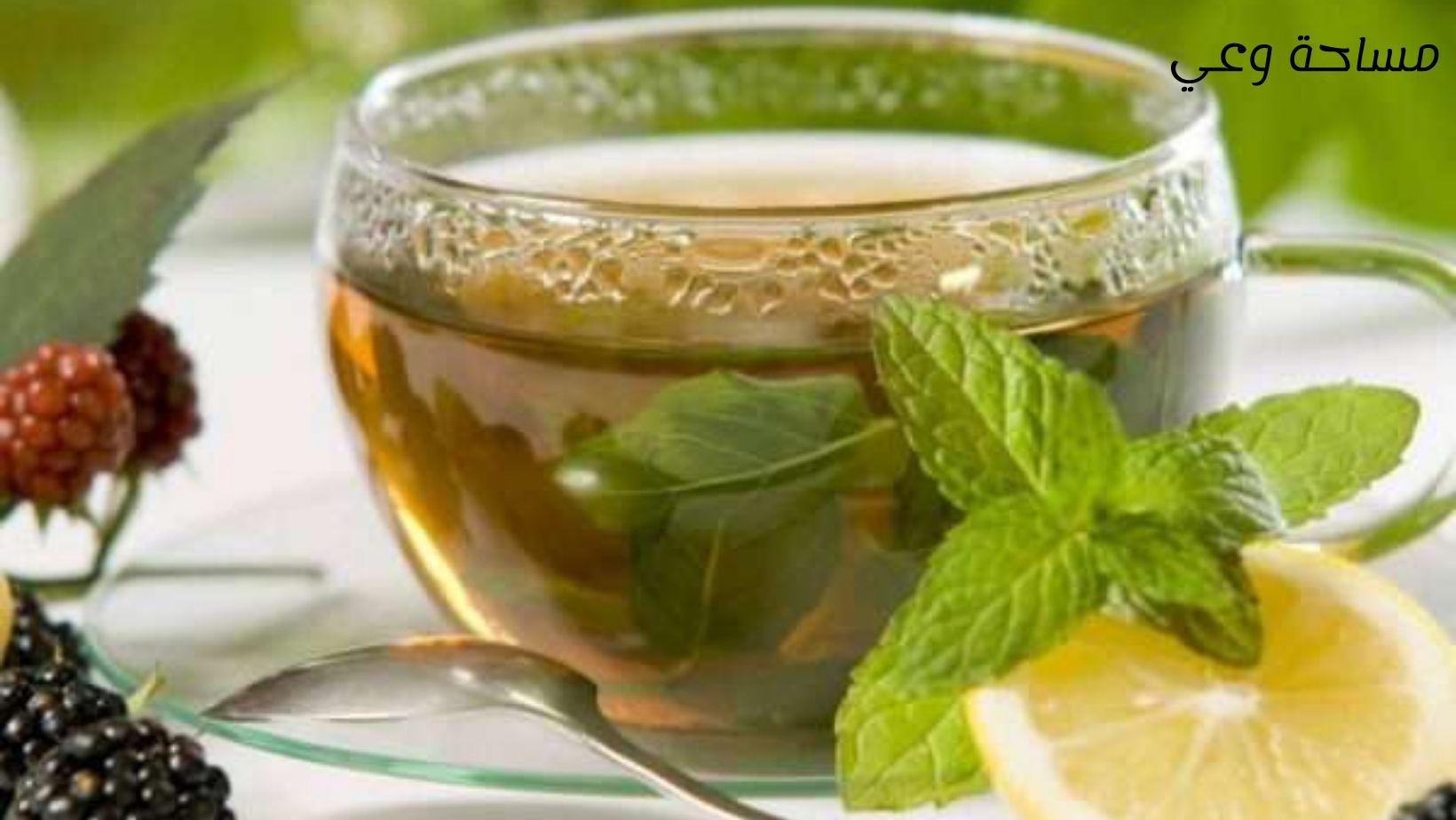 أفضل الاعشاب للتخلص من القلق والتوتر بالعلاج الطبيعي