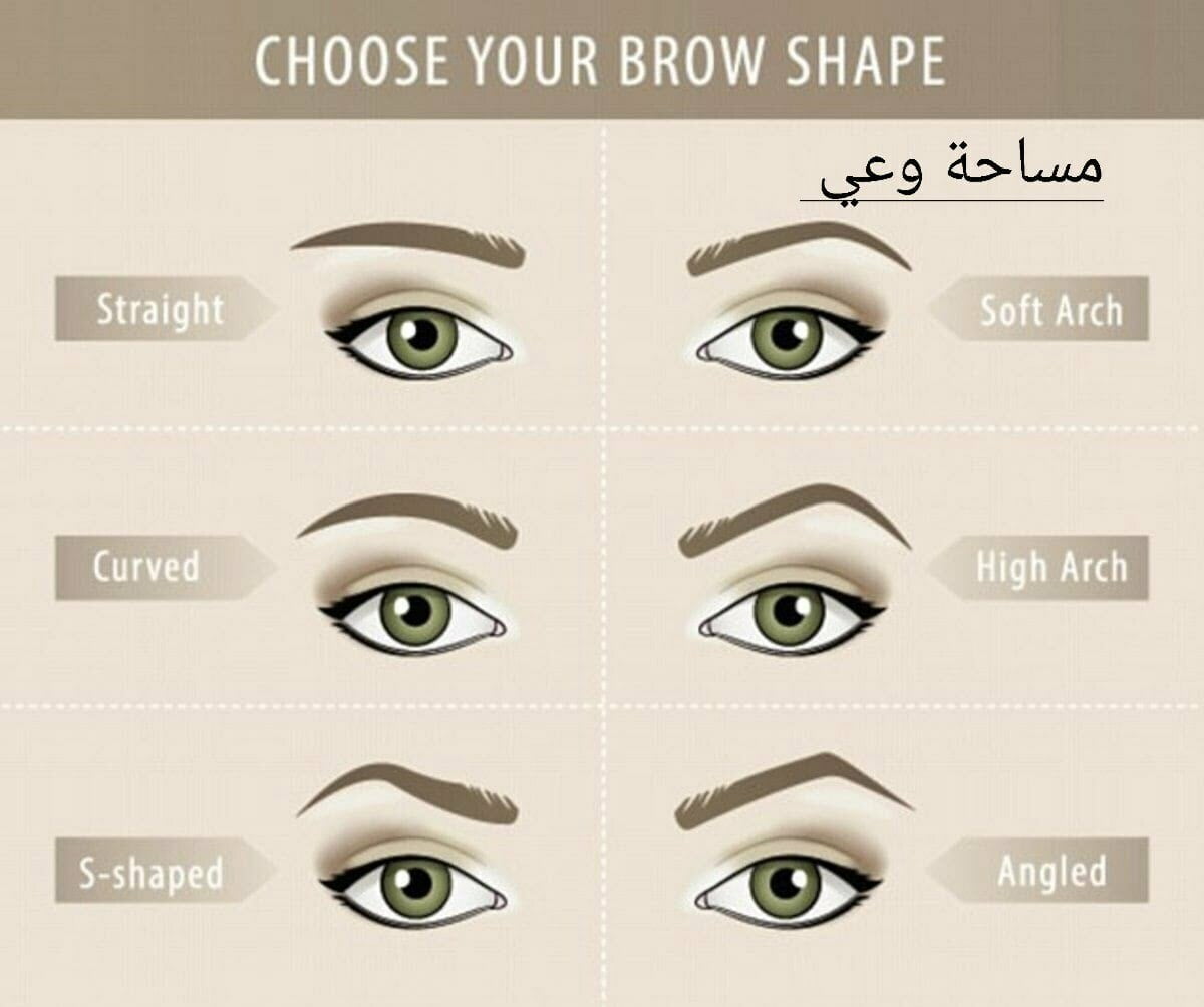 أنواع الحواجب، وأشكالها