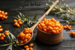 فوائد النبق للقولون