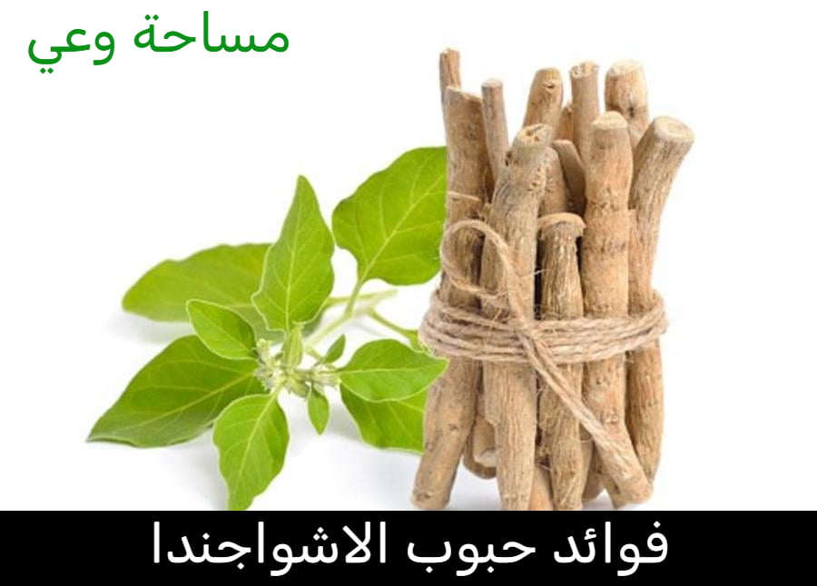 فوائد حبوب الاشواجندا