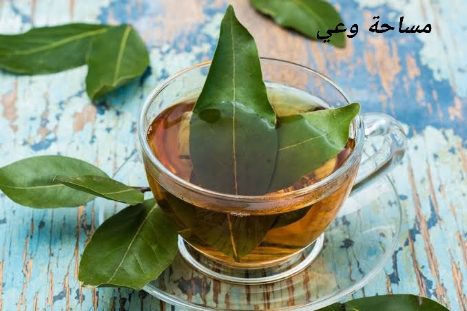 فوائد شرب ماء السدر