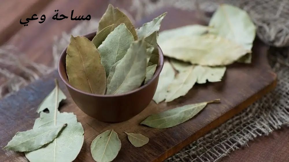 فوائد ورق السدر المغلي