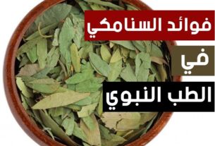 فوائد السنامكي في الطب النبوي طريقة استخدام السنامكي في الطب النبوي طريقة الرسول في شرب السنامكي طريقة السنامكي