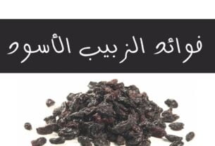 فوائد الزبيب الأسود