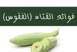 فوائد القثاء , فوائد الفقوس