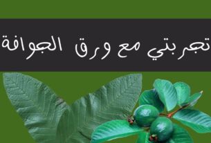 فوائد ورق الجوافة