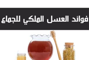 فوائد العسل الملكي للجماع